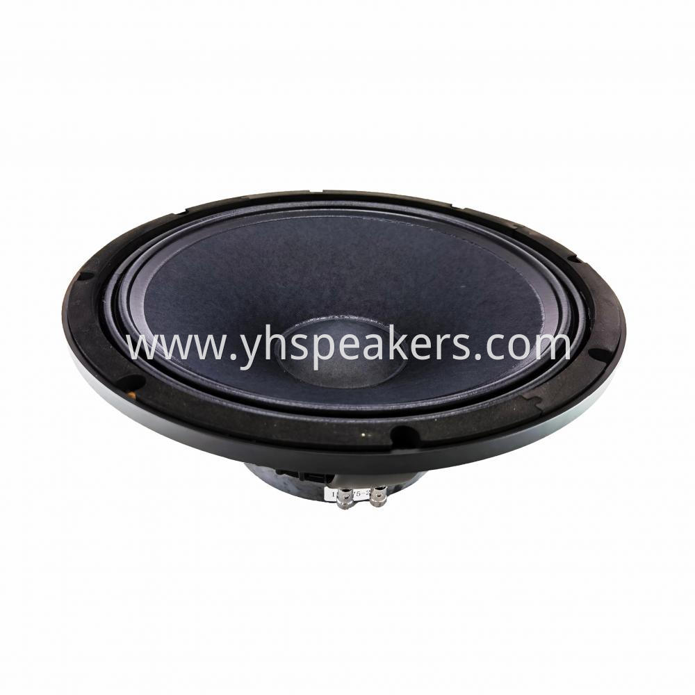 Indoor/outdoor 15 inch speaker for entertainment